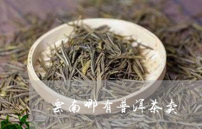 云南哪有普洱茶卖/2023040908593