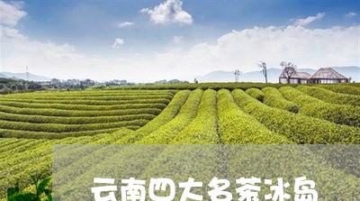 云南四大名茶冰岛/2023041305960