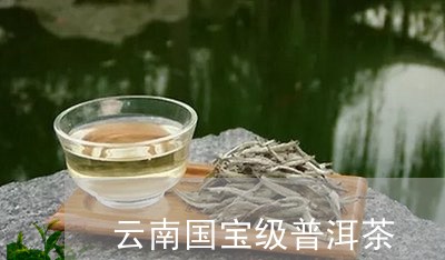 云南国宝级普洱茶/2023033031039