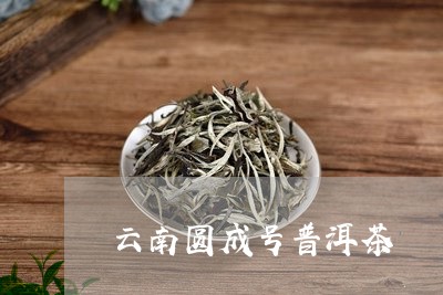 云南圆成号普洱茶/2023041094159