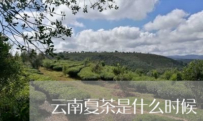 云南夏茶是什么时候/2023032112615