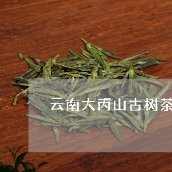 云南大丙山古树茶/2023041313847