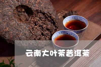 云南大叶茶普洱茶/2023031633059