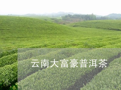 云南大富豪普洱茶/2023041016260