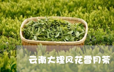 云南大理风花雪月茶/2023032138594