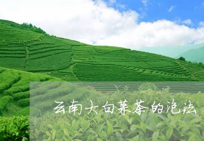 云南大白菜茶的泡法/2023032121584