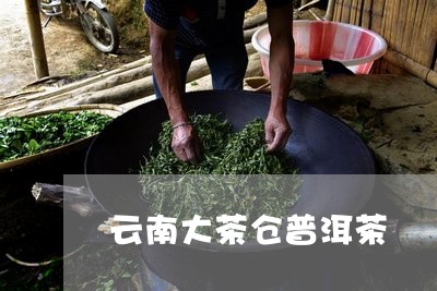 云南大茶仓普洱茶/2023041118280