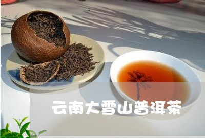 云南大雪山普洱茶/2023041388480