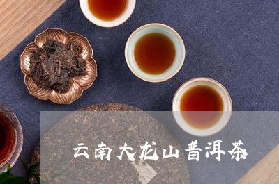 云南大龙山普洱茶/2023041040426