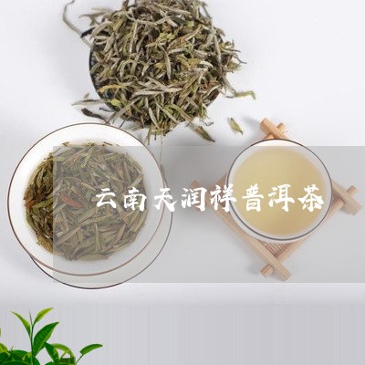 云南天润祥普洱茶/2023033105927