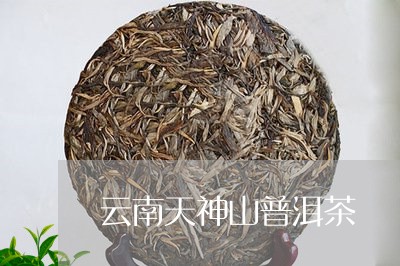 云南天神山普洱茶/2023040160595