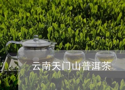 云南天门山普洱茶/2023031778594