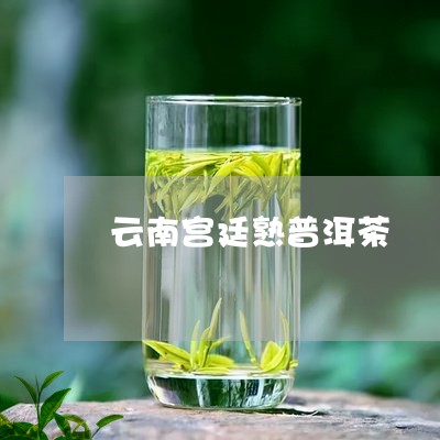 云南宫廷熟普洱茶/2023040162613