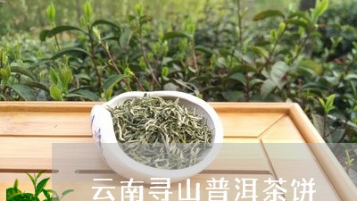 云南寻山普洱茶饼/2023040195268