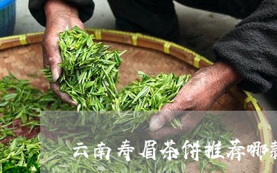 云南寿眉茶饼推荐哪款好喝/2023040105926