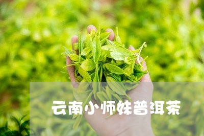 云南小师妹普洱茶/2023040936160