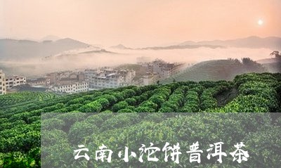 云南小沱饼普洱茶/2023040128393