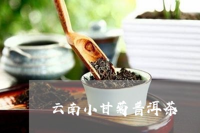 云南小甘菊普洱茶/2023040947350