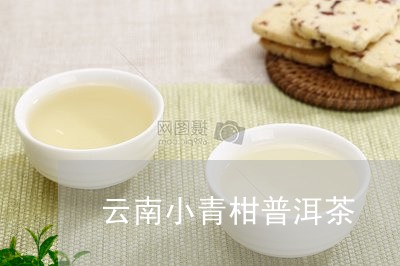 云南小青柑普洱茶/2023041327160