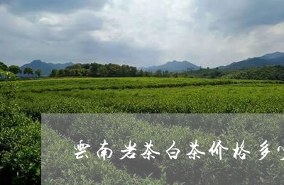 云南岩茶白茶价格多少一斤/2023040197481