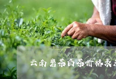 云南岩茶白茶价格表及图片/2023040183695