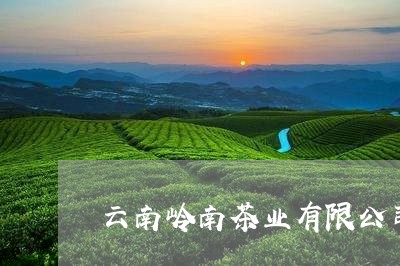 云南岭南茶业有限公司白茶/2023040172515