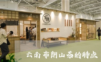 云南布朗山茶的特点/2023032225170