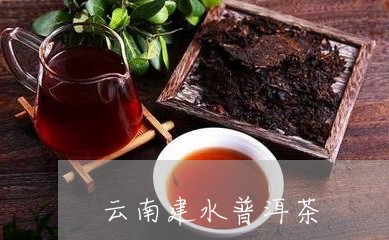 云南建水普洱茶/2023041039716