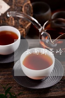 云南御茶岭普洱茶/2023041272817