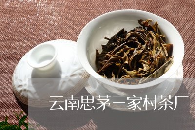 云南思茅三家村茶厂/2023032213070