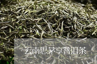 云南思茅享普洱茶/2023041020614