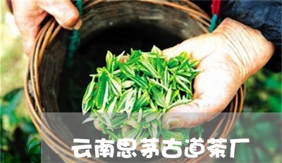 云南思茅古道茶厂/2023032534714