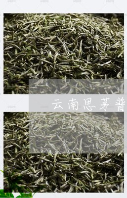 云南思茅普洱茶乡/2023040980792