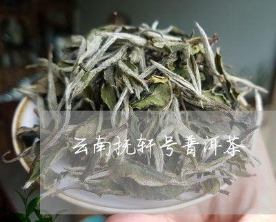 云南抚轩号普洱茶/2023031668514