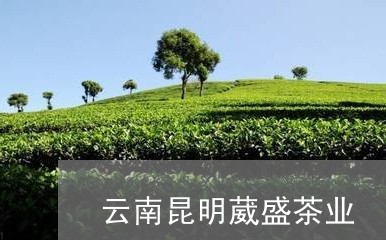 云南昆明葳盛茶业/2023032517169