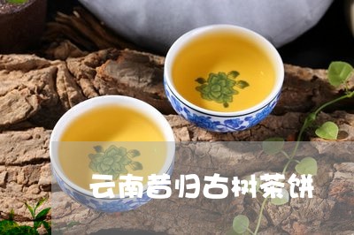 云南昔归古树茶饼/2023032580503