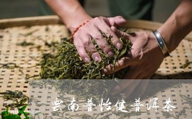 云南普怡健普洱茶/2023040133706