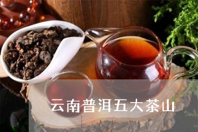 云南普洱五大茶山/2023041339715