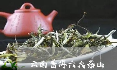 云南普洱六大茶山/2023031864169