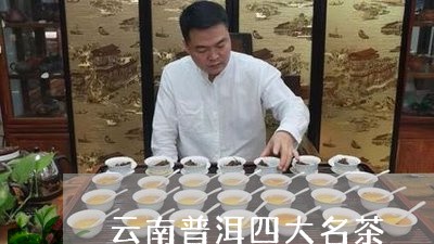 云南普洱四大名茶/2023041337348