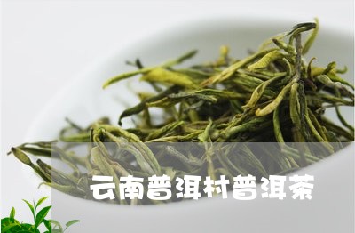 云南普洱村普洱茶/2023031764936