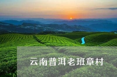 云南普洱老班章村/2023041351693