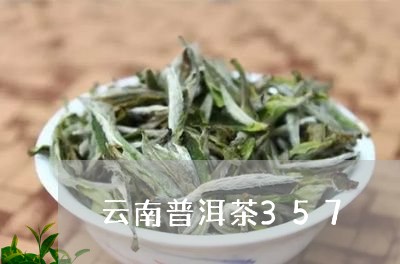 云南普洱茶357/2023041059594