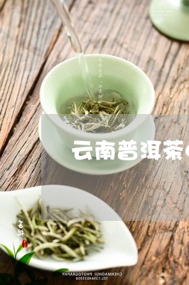 云南普洱茶48元/2023040933837