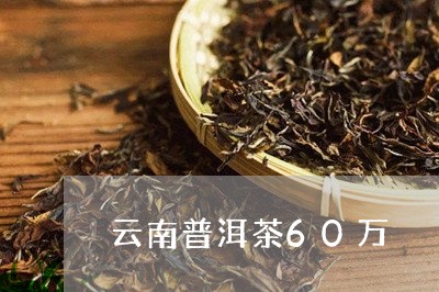 云南普洱茶60万/2023040951604