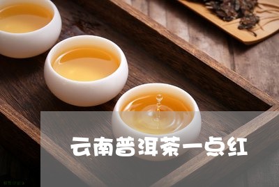 云南普洱茶一点红/2023033020917