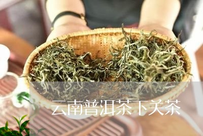 云南普洱茶下关茶/2023041031692