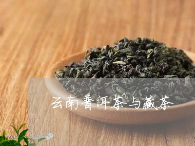 云南普洱茶与藏茶/2023031649279