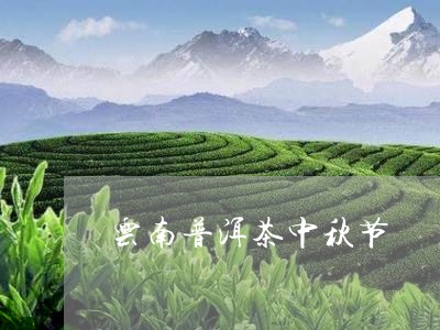 云南普洱茶中秋节/2023031819416