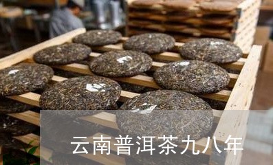 云南普洱茶九八年/2023040176979